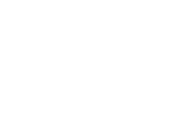 GHODOSI SPEARGUNS