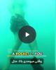فین زدن های سریع هنگام صعود ممنوع